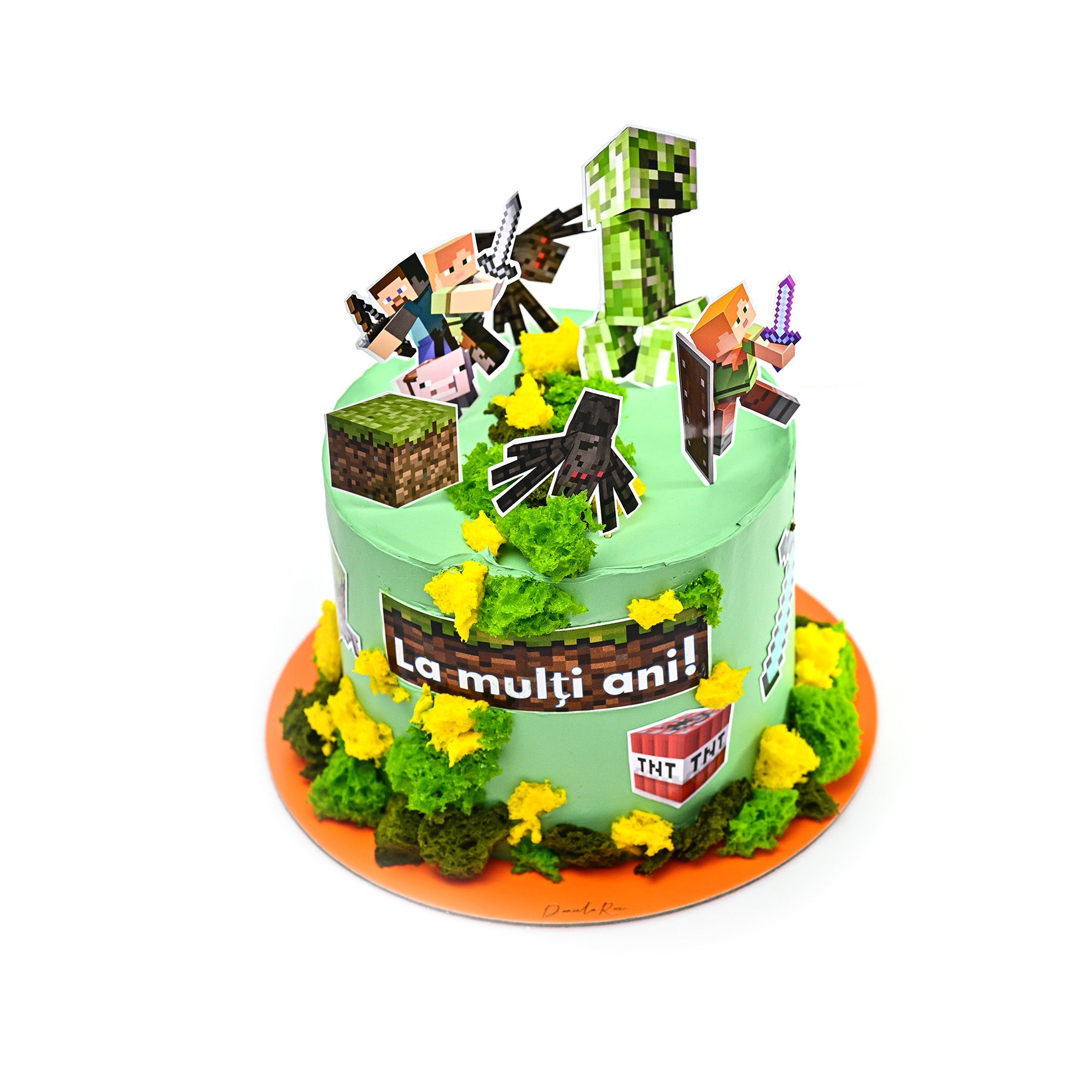 TORT TEMATIC PRECOMANDĂ (1-4 kg)