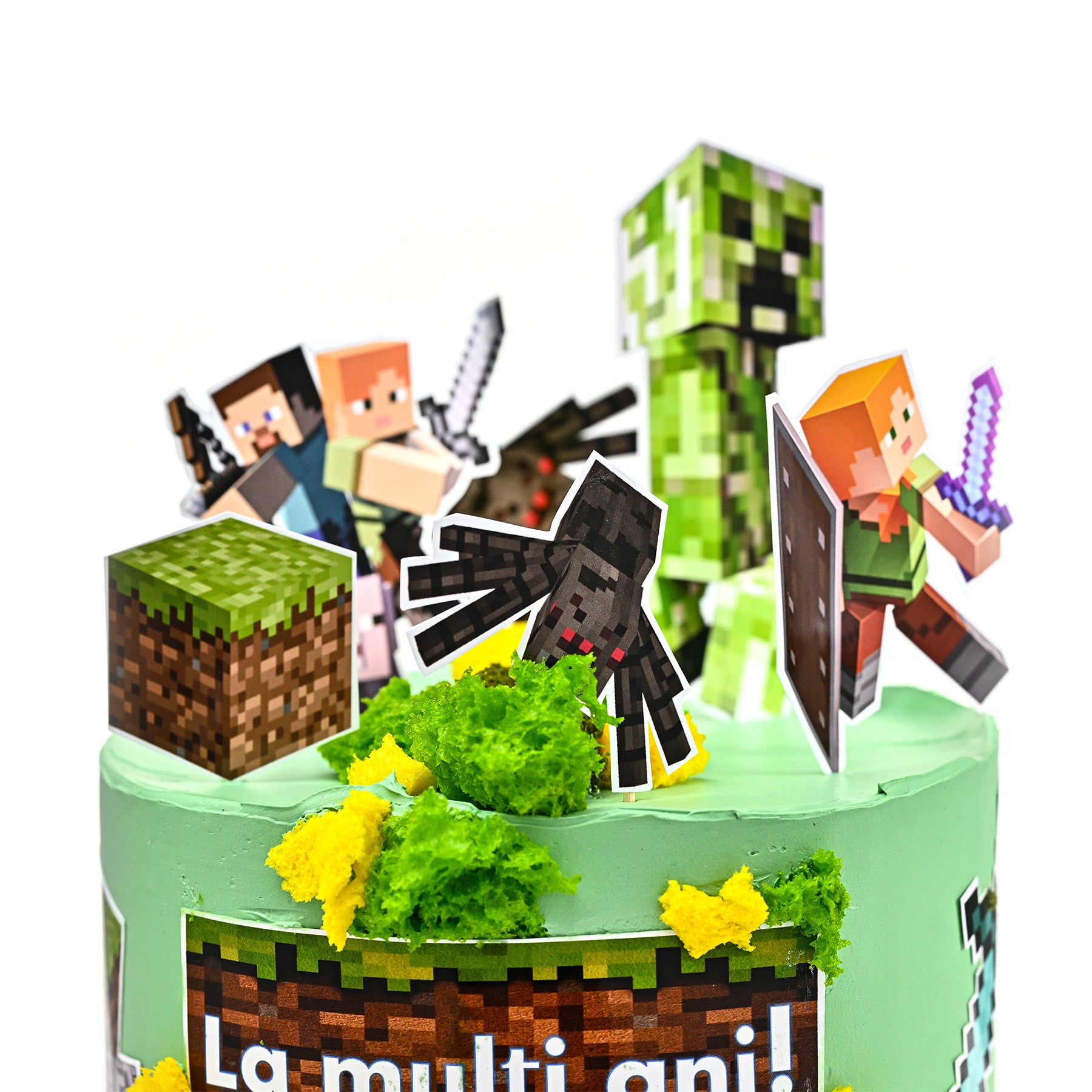 Tort tematic Minecraft 2.5 KG