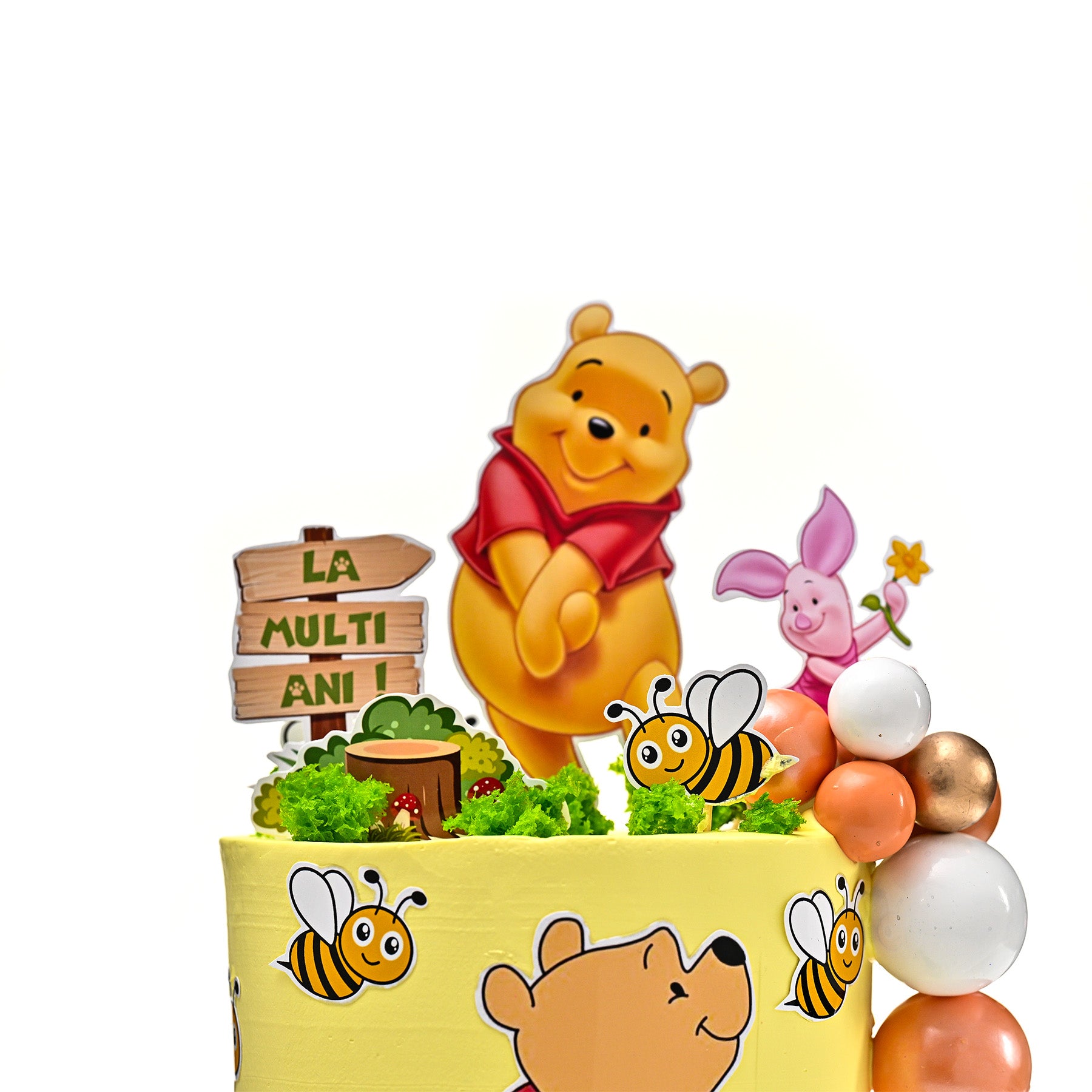 TORT TEMATIC PRECOMANDĂ (1-4 kg)